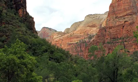 The History of Zion National Park – A Visitor’s Guide