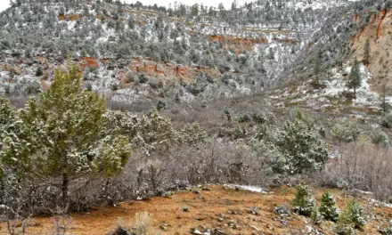 Zion National Park Weather – A Visitor’s Guide