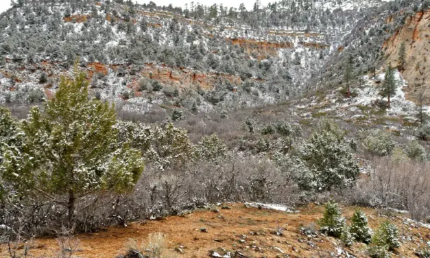Zion National Park Weather – A Visitor’s Guide