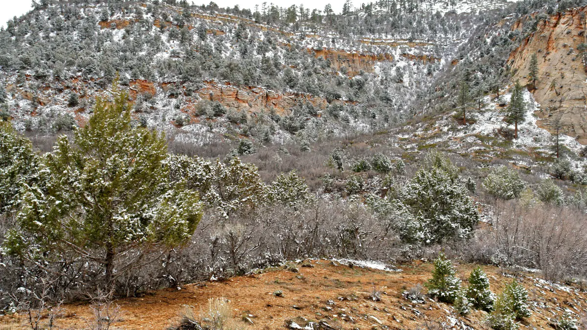 Snow-dusted canyon cliffs in Zion National Park