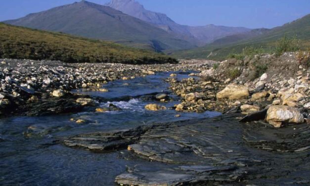 Gates of the Arctic National Park – A Visitor’s Guide