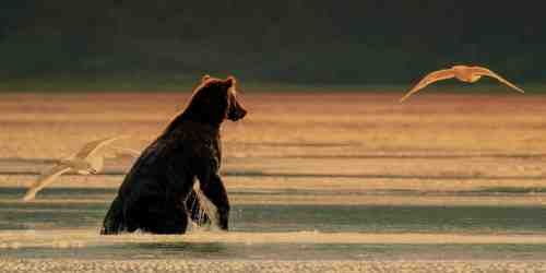 Lake Clark National Park