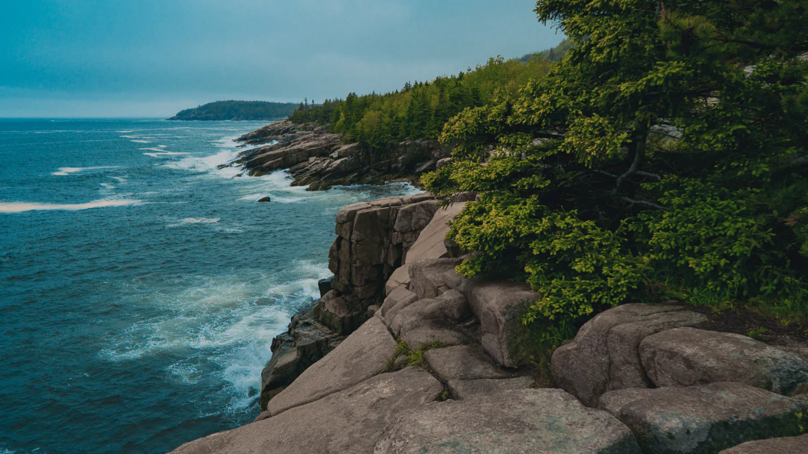 Sand Beach Overlook in Acadia National Park