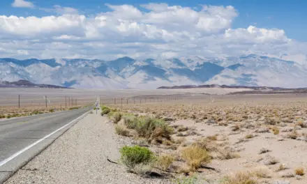 California National Park Road Trip