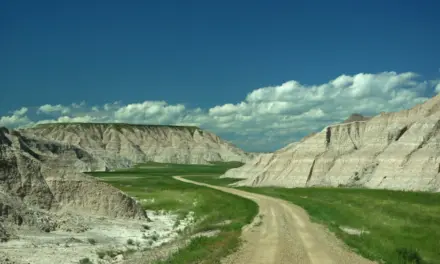Grand Teton, Glacier, Dakotas, Yellowstone National Park Road Trip