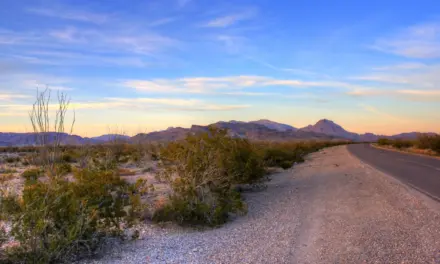 New Mexico & Texas National Park Road Trip