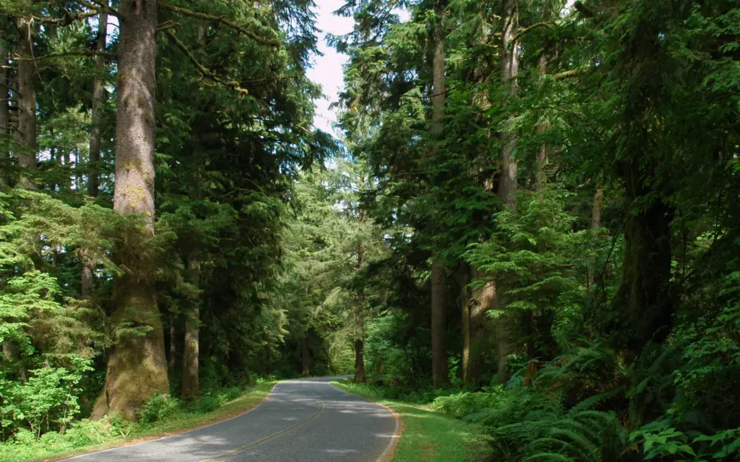 National Park Road Trips 6 Pacific Northwest National Park Road Trip
