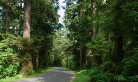 Pacific Northwest National Park Road Trip