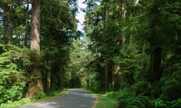 Pacific Northwest National Park Road Trip