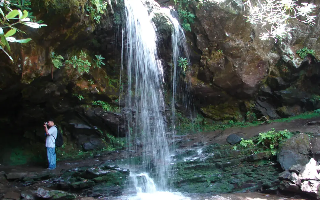 The Best Hikes in Great Smoky Mountains National Park
