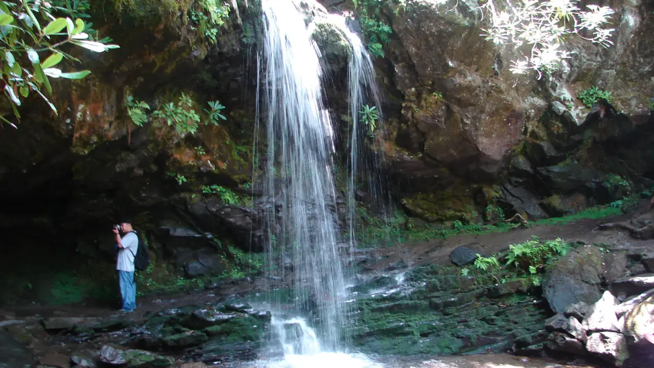 Hiking trail through Great Smoky Mountains National Park