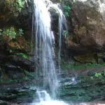 The Best Hikes in Great Smoky Mountains National Park