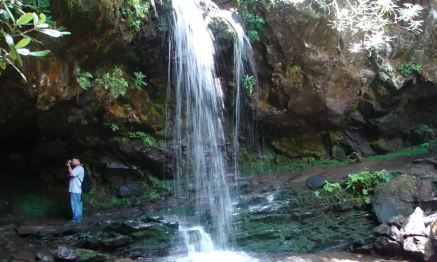 The Best Hikes in Great Smoky Mountains National Park