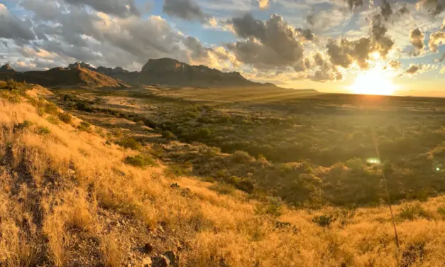 Big Bend National Park Weather – A Visitor’s Guide
