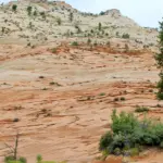 Camping In Zion National Park