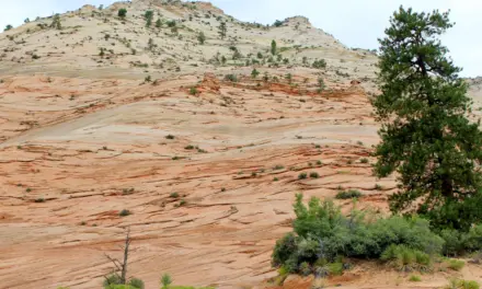 Camping In Zion National Park