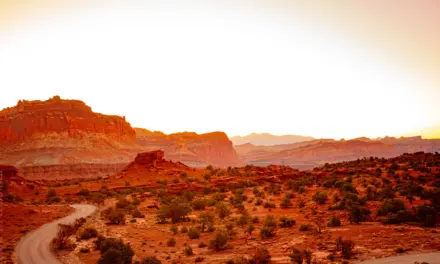 Capitol Reef National Park Weather – A Visitor’s Guide