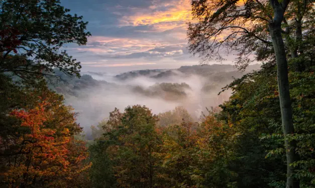Cuyahoga Valley National Park Weather – A Visitor’s Guide