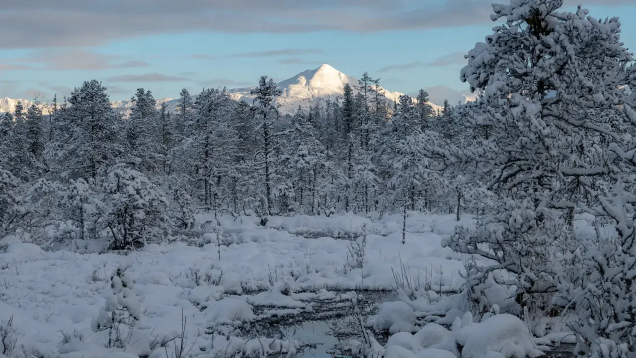 Snow-covered landscape in Glacier Bay National Park