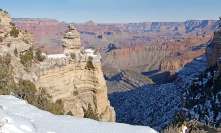 Epic Roadtrip To The Grand Canyon: Exploring The South Rim’s Elevation, Views, And More