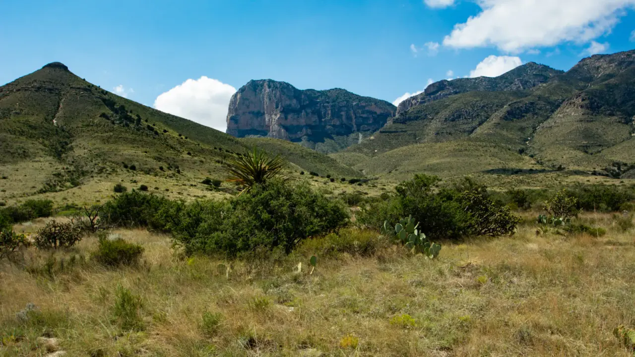 Guadalupe Mountains beneath a clear sky in Guadalupe Mountains National Park