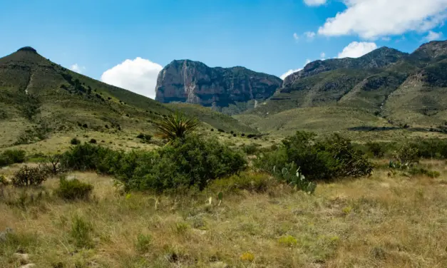 Guadalupe Mountains National Park Weather – A Visitor’s Guide