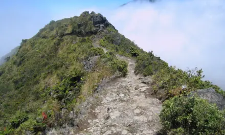 Haleakala National Park Weather – A Visitor’s Guide