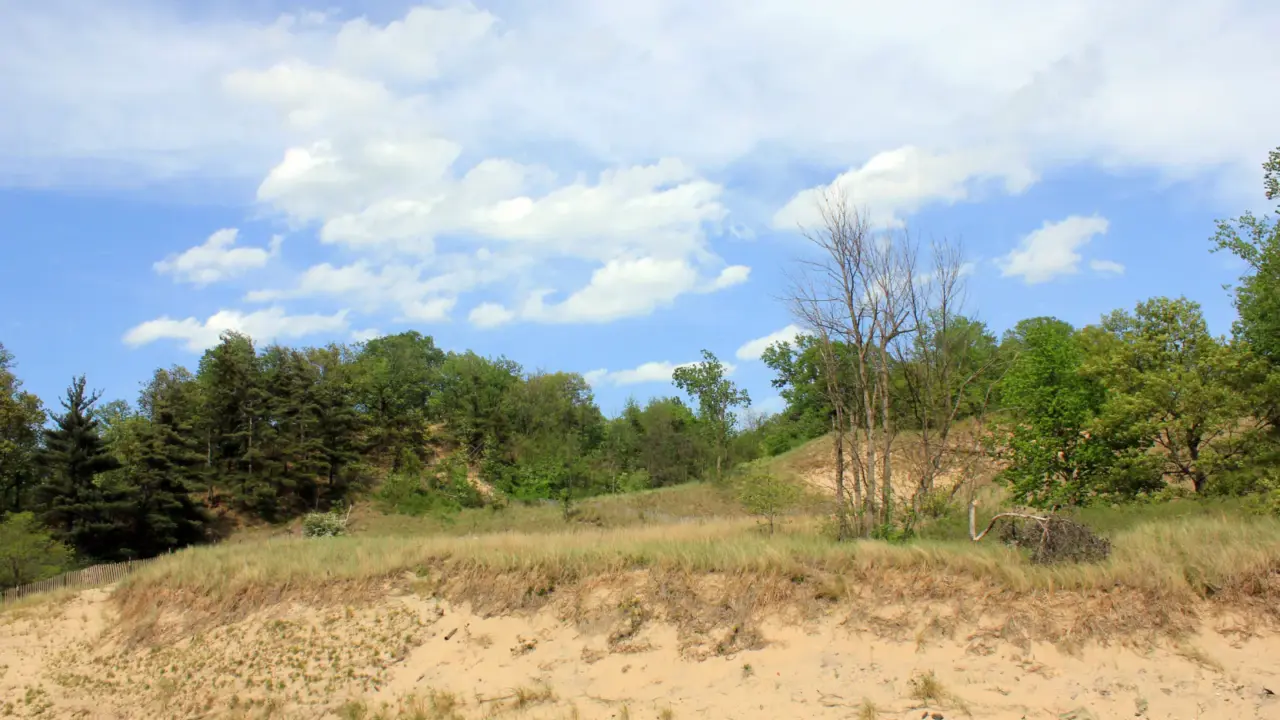 Clouds gathering above dunes in Indiana Dunes National Park