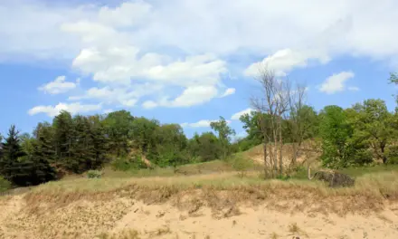 Indiana Dunes National Park Weather – A Visitor’s Guide
