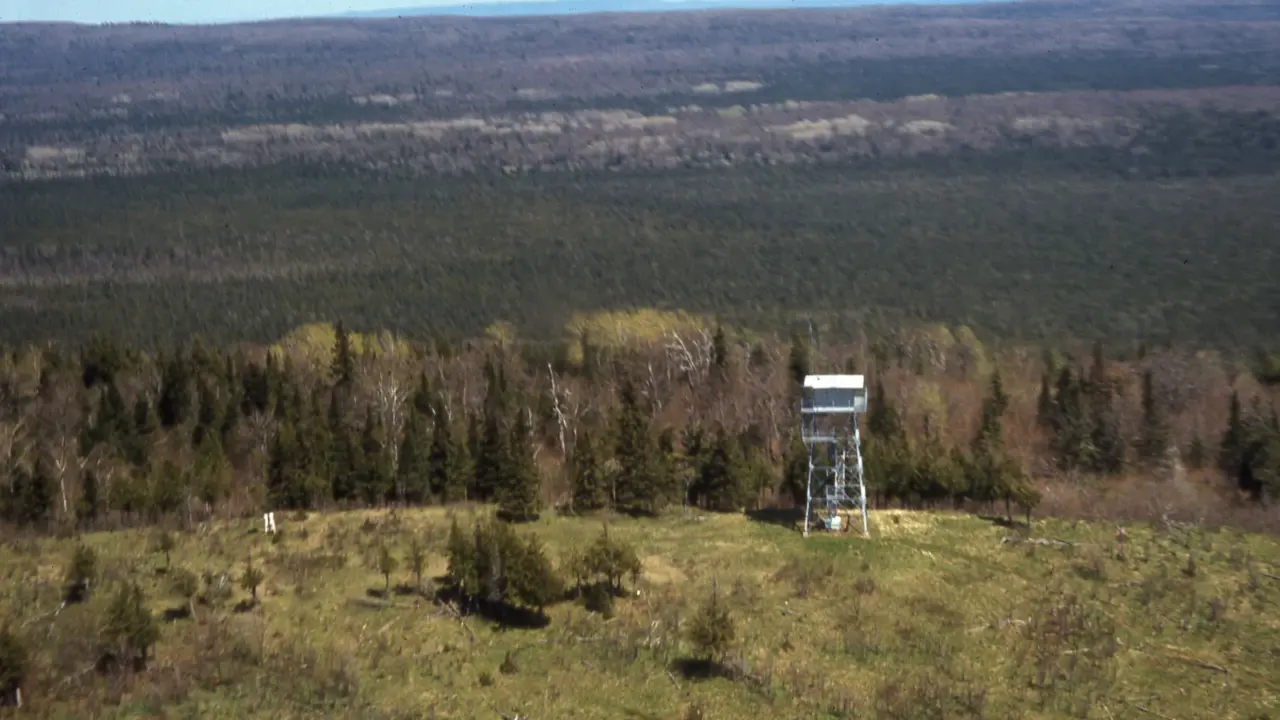 Ojibway Fire Tower above the forest in Isle Royale National Park