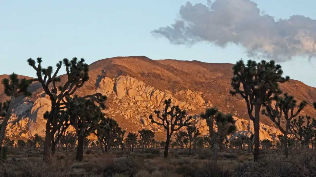 Sunset over Ryan Mountain in Joshua Tree National Park