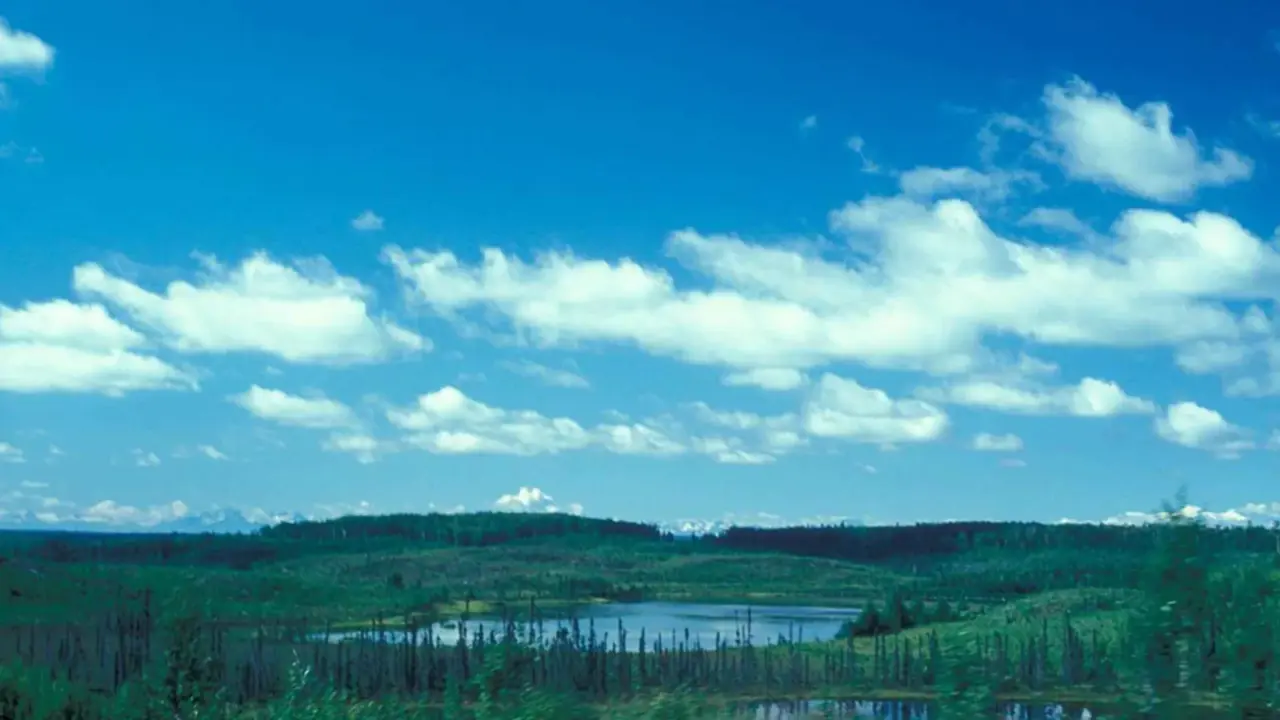 Wetlands in spring near Kenai Fjords National Park