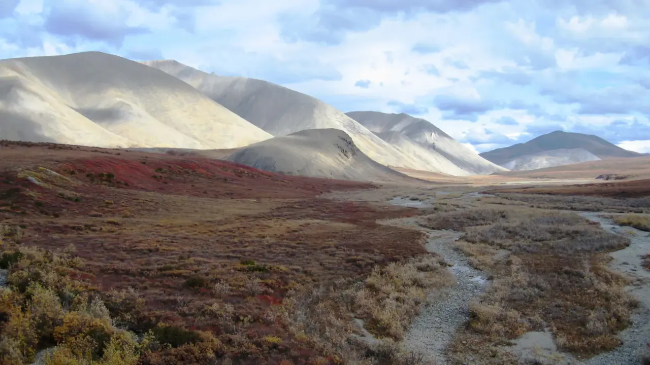 Autumn tundra along the upper Salmon River in Kobuk Valley National Park
