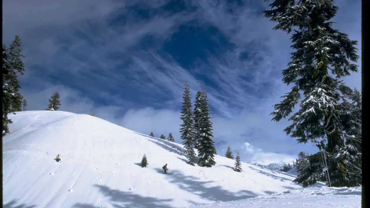 Forested volcanic landscape in Lassen Volcanic National Park