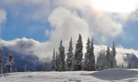 Mount Rainier National Park Weather – A Visitor’s Guide