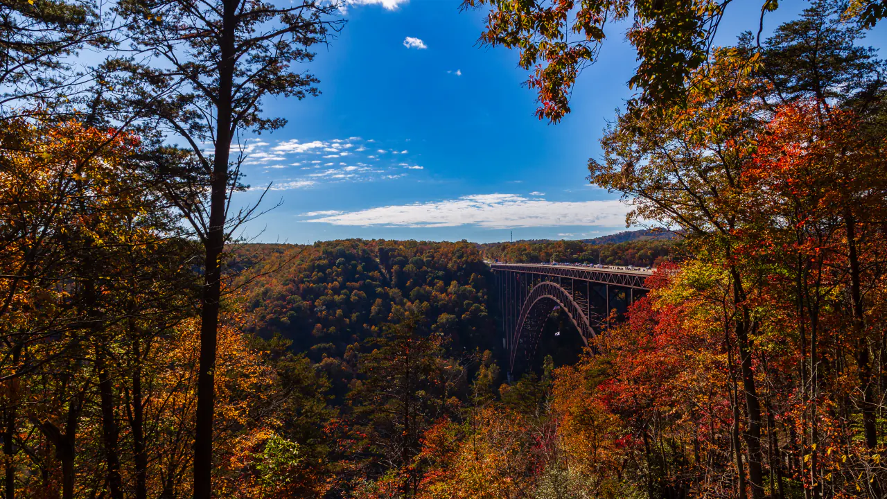 New River Gorge Bridge framed by autumn foliage