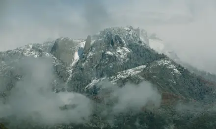 Sequoia National Park Weather – A Visitor’s Guide