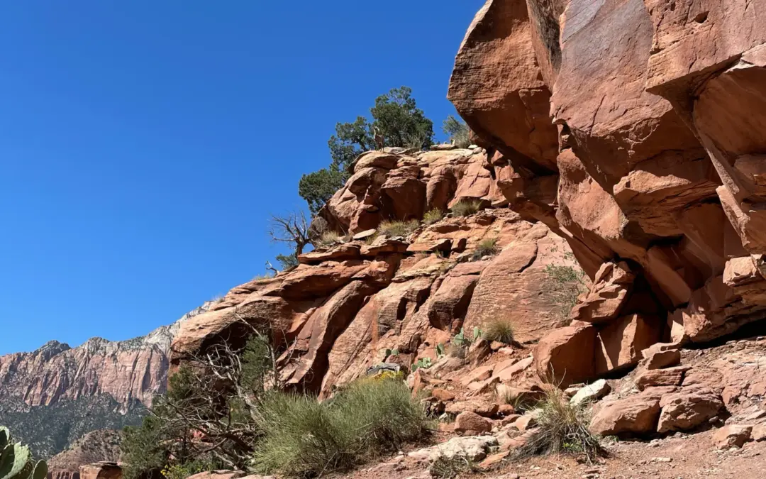 Best Hikes In Zion National Park