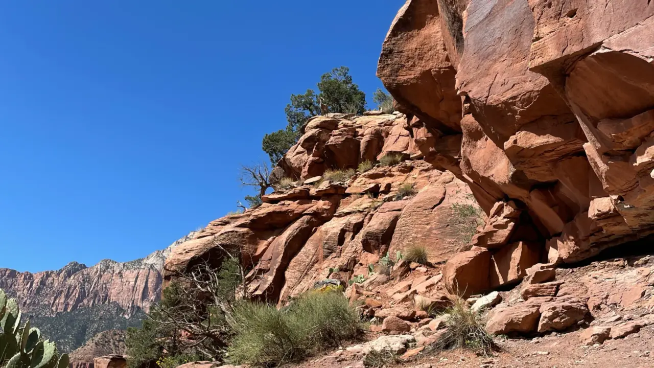 Rocky trail beneath red cliffs on the Watchman Trail in Zion National Park