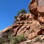 Best Hikes In Zion National Park
