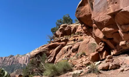 Best Hikes In Zion National Park