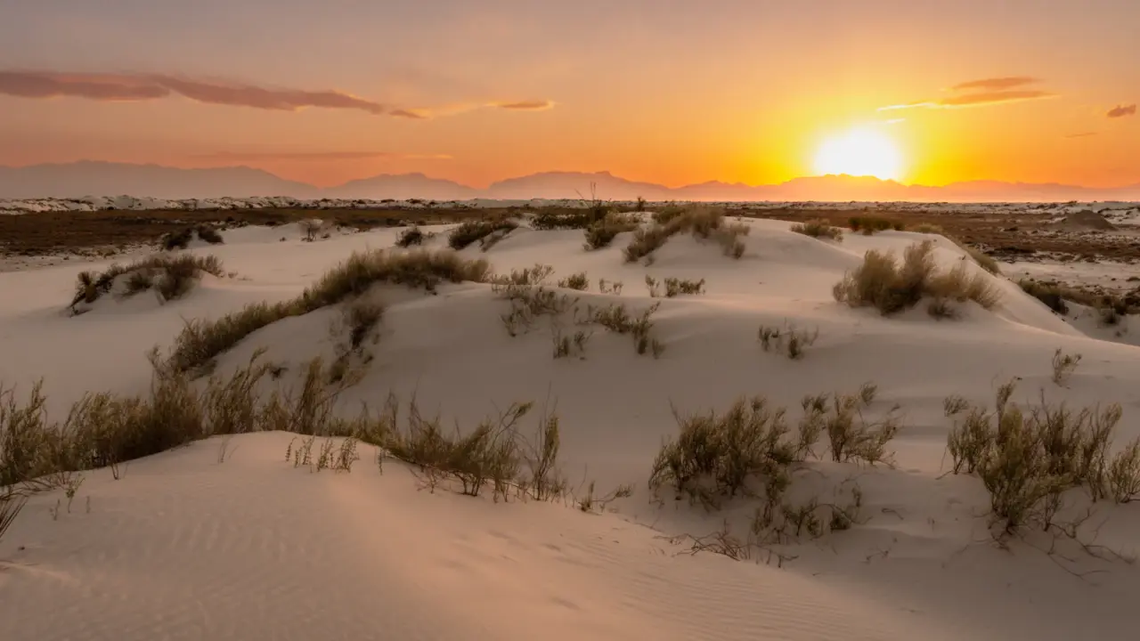 White gypsum dunes in White Sands National Park