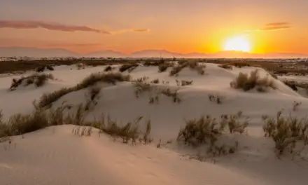 The Ultimate Guide To White Sands National Park
