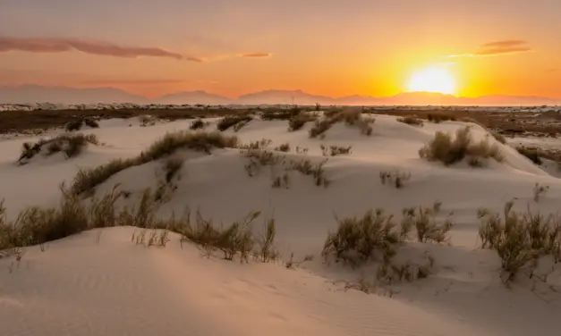 The Ultimate Guide To White Sands National Park