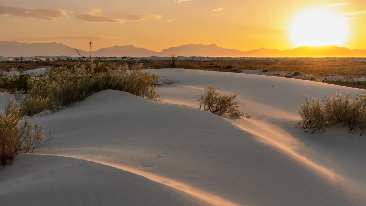 White gypsum dunes beneath blue sky in White Sands National Park