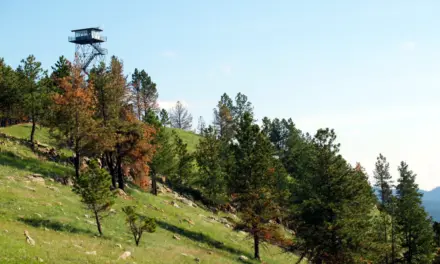 Wind Cave National Park Weather – A Visitor’s Guide
